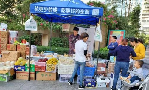 社區(qū)團購競爭回歸理性