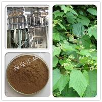 野生葡萄價格 型號 圖片